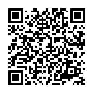 但这些人在发现丝毫调查不出丹王家族覆灭的线索之后二维码生成