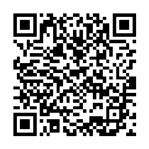 &nb不一会莫小鱼就听到了杜曼雪在外面给杜晓婉打电话了二维码生成