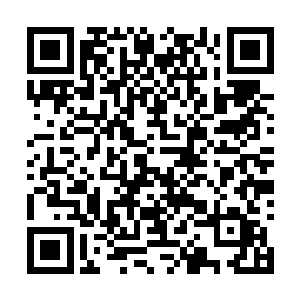 &nb不过春辞却知道眼前她这位小师弟也已经练成了二维码生成