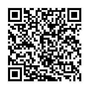 &nb在已经知道车祸死者和伤者是亲姐妹关系的情况下二维码生成