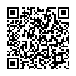 &nb多比诺米这会儿已经扫描完严默的身体和大脑二维码生成