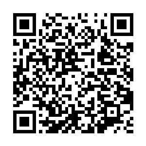 &nb夭华原先还不断派人想灭了来南耀国求和的队伍二维码生成