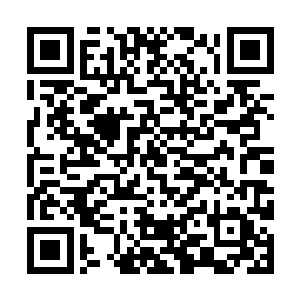 &nb就见一道剑光从赌斗场最高处的某个位置破空飞下二维码生成