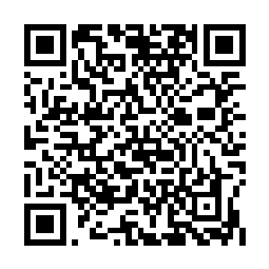 &nb广南王喜欢什么样的女人这是广南王府的家事二维码生成