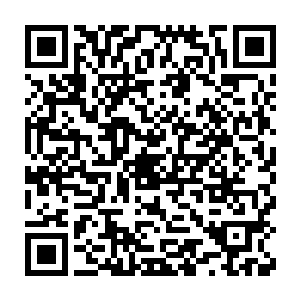 &nb执天阁的大地骑士的身上在冲进来的时候已经打开了一层护体战气二维码生成