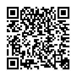 &nb既然被额外挑选出来进行开幕首战的王牌机甲战二维码生成