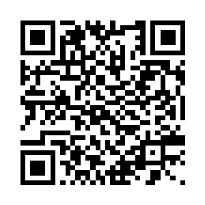 &nb那棵小树除了现在长得还是一颗树外二维码生成