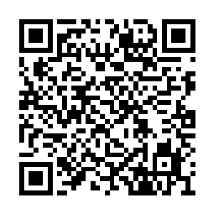 &nb龙族把厚望寄托在他身上的计划也就无疾而终二维码生成