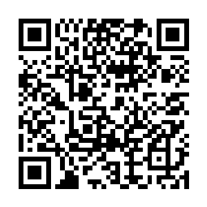 èèèèè王大海没想到这个美女竟是市场部廖经理的女朋友二维码生成