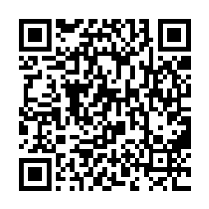 ――也许查尔斯和哈利压根不能明白珍妮当时的念头二维码生成