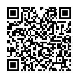 ――此果实可以让堡主大人的身体伤势的恢复度增加6二维码生成