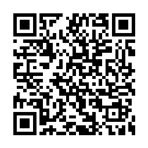 ……只是我这个合成后的身体所代表的战力而已二维码生成