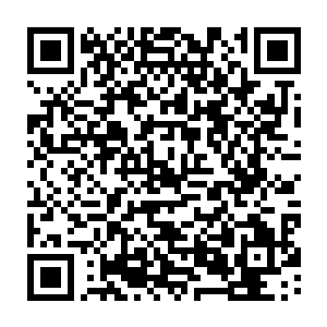 ……她一早起来看过年准备的三牲祭品……从西跨院往前院的那段青石路结了冰二维码生成