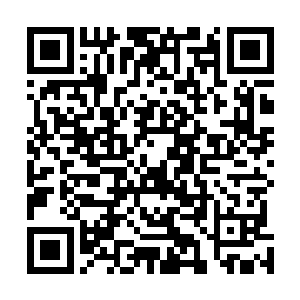 ……妮娜赌五毛她没有注意到有马身边旁边还站了个白毛二维码生成