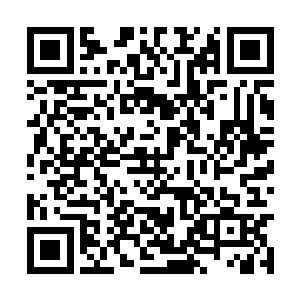 ……被白兰抱在怀里的妮娜也跟着一起受了这一礼二维码生成