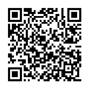 ……韩风可不知道他走后那一群小家伙们的惊骇二维码生成