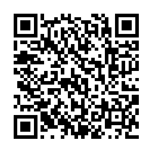 任仲自然知道自己左手手背上多了几道深可见骨的爪痕二维码生成