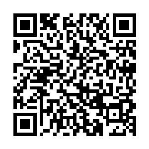 当年是她以长公主之尊支持聂星痕的父亲聂旸登上王位的二维码生成