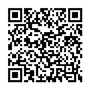 　　那苍老的声音像是又无奈又心疼地叹了口气二维码生成