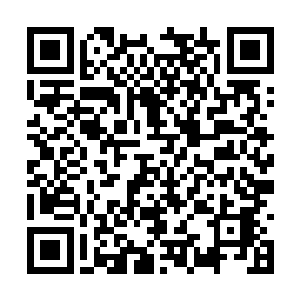 一一指出金在珉和少女们的亲密已经超出至亲标准二维码生成