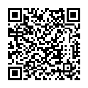 一万余修士聚在还未建成的黑幕仙城中央彻夜狂欢二维码生成