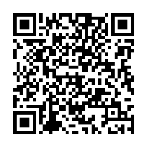 一上手就把那天参与暴乱放火的人员全部找了出来二维码生成