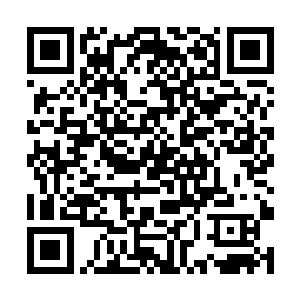 一下大概可以灭掉一万个你们人类所谓的大乘期修士二维码生成