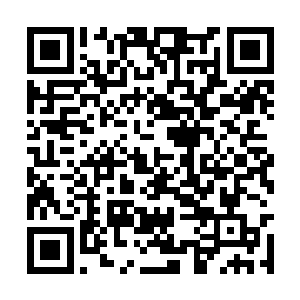 一下子由秦铮违背他的意愿变成了违背他的旨意了二维码生成