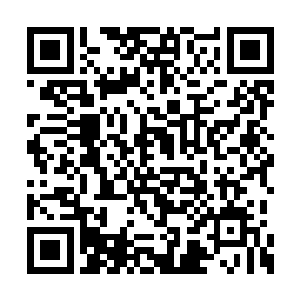 一丝丝灰蒙蒙的混沌之力围绕着混沌内丹缠绕着二维码生成