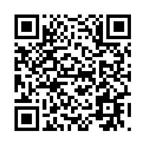 一丝期待的光芒从那双明亮的眼眸中一闪而逝二维码生成