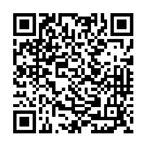 一丝灵气从他的手掌之中进入到了杜十三的身体之内二维码生成