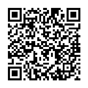 一丝震惊与不敢置信的目光望着地上那被一掌拍成了二维码生成