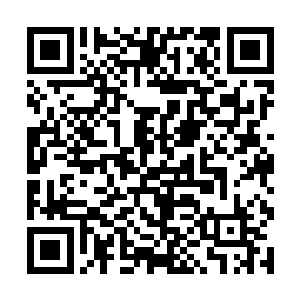 一个一身紫色锦袍的青年见到下方的众人的反应之后二维码生成