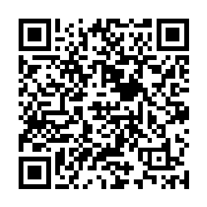 一个一身金色长袍的老者抬头望着虚空之中的能量巨龙二维码生成
