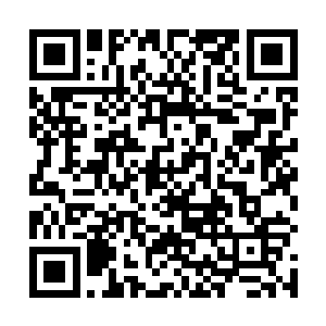 一个三岁小女孩现在表现的完全就是神帝级别的战斗力二维码生成