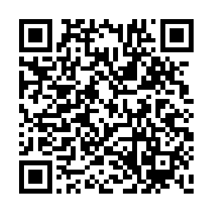 一个专业的发行公司应该在制作初期就介入其中二维码生成