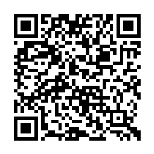 一个个小国城市上空都挂起一个个骷髅海盗团旗二维码生成