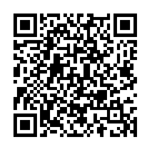 一个个已经销声匿迹无数岁月的绝世体质纷纷再现二维码生成