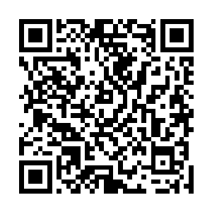 一个个普通血脉弟子急忙纷纷地跑到十二诸象大阵的外围二维码生成