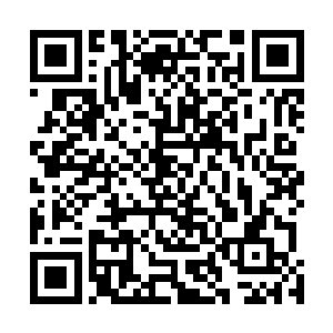 一个个浮出水面的头颅和一双双黄褐色的带着竖瞳的双眼二维码生成