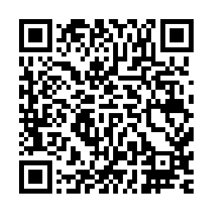 一个个百族灵魂正在消耗自己的灵魂之力布置一个巨大的封印二维码生成