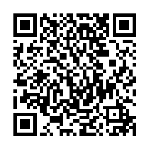 一个个的看着天空中不断旋转落下的天凰书院的少女们二维码生成