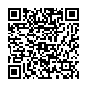 一个个穿着庞博之海附近特有风格的衣饰的贵族们二维码生成