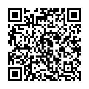 一个个立马主动的给楚暮护法将营房四周都围绕起来二维码生成