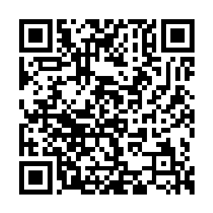 一个个脸色凝重的盯着五里外的几百万佣兵大军二维码生成