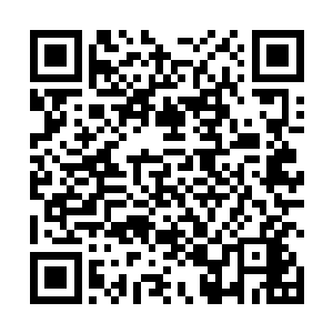 一个个身着古代服饰的干尸从那龟裂的地面慢慢爬出来二维码生成