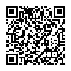 一个个都是目瞪口呆的盯着天元家族的大门方向二维码生成