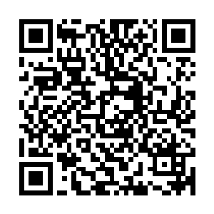 一个个面无表情的勇士们尽情地屠戮着不知死活的冒险者的生命二维码生成