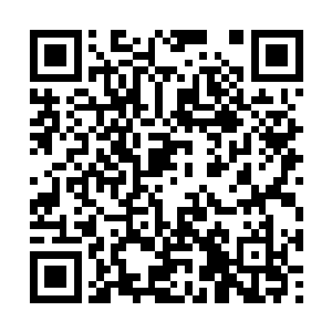 一个个骑士高塔中的大门在这一刻都被里面的打开二维码生成