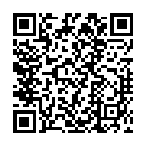 一个中年修士对着坐在上首第一个紫色面孔的修士说道二维码生成